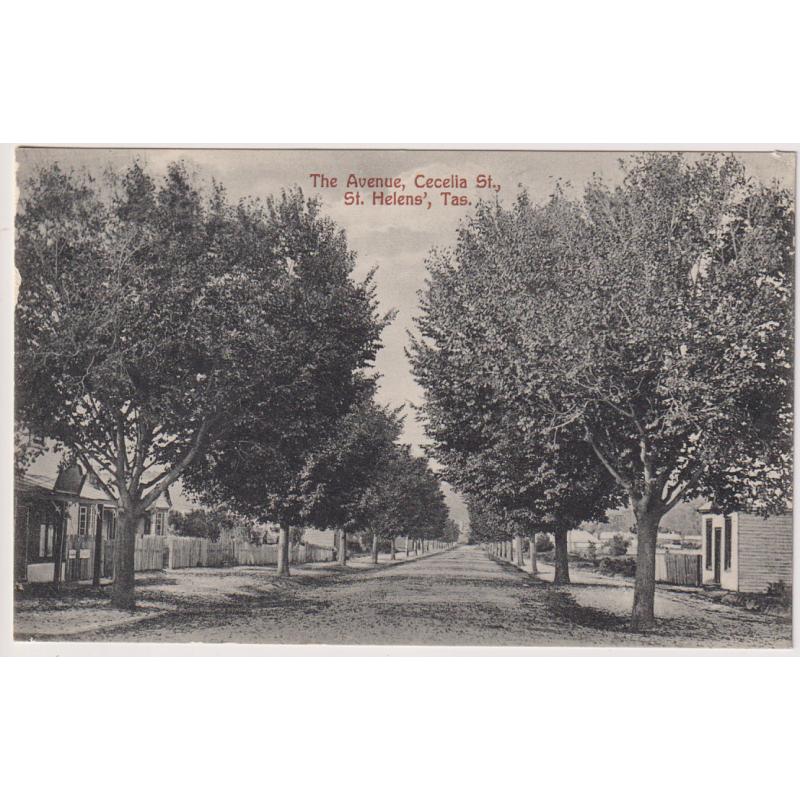 (AT1027) TASMANIA · c.1908: unused Spurling & Son card No.388 w/view of THE AVENUE, CECILIA ST., ST HELENS · some v.minor peripheral faults on left side o/wise in nice condition