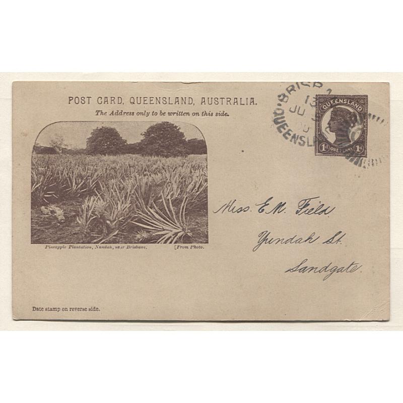 (AT15004) QUEENSLAND · 1901: 1d chocolate on buff QV pictorial postal card w/view PINEAPPLE PLANTATION, NUNDAH... mailed to SANDGATE (arrival cds) as an advice card · fine condition