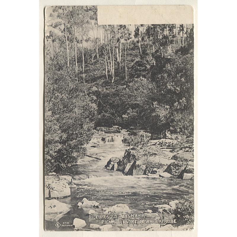 (AT15034) TASMANIA · c.1905: unused "Wynphotoprint" card by Selwyn Cox w/view titled PICTURESQUE TASMANIA · PICNIC RESORT NEAR LATROBE in excellent to fine condition