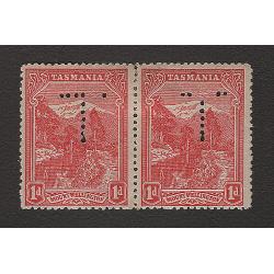 (BB15128) TASMANIA · 1905: pair of mint typographed 1d rose-red Pictorials (upright Crown/A wmk · perf.12.4) SG 250 perf T (7x6 holes) · even gum toning and hinge remnants but still looks good from money side (2 images)