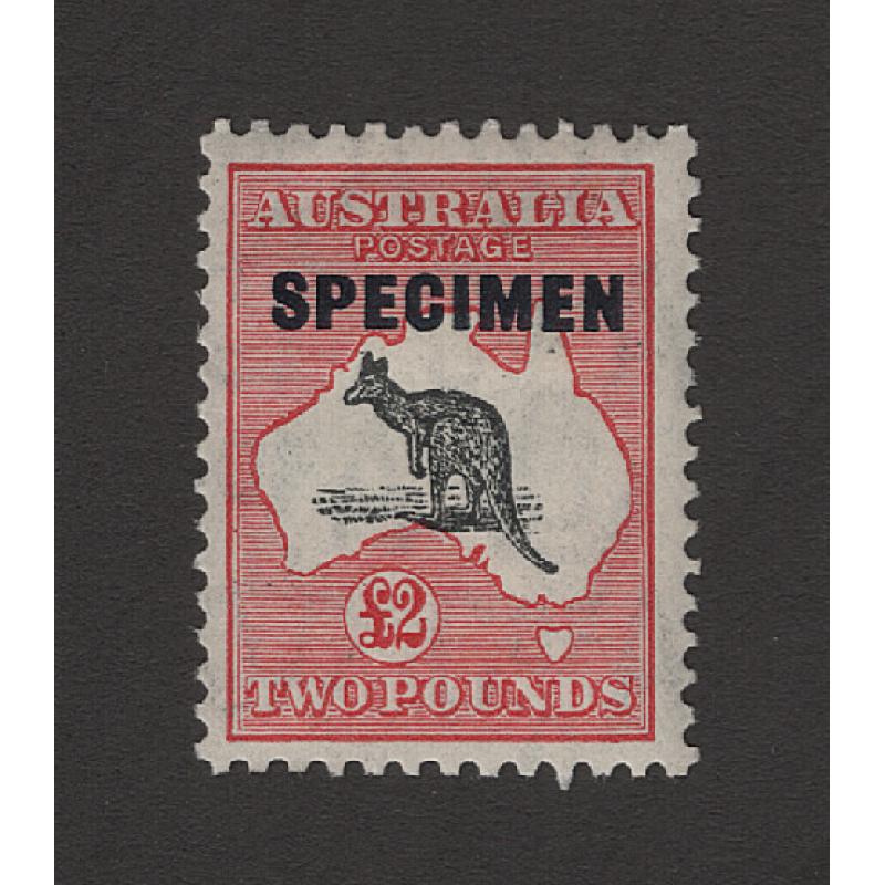(BB15157) AUSTRALIA · 1934: £2 grey-black & rose-carmine Roo (CofA Wmk) with Type D SPECIMEN o/print BW 58Bx  · clean hinge remnant · fresh gum · c.v. AU$150 (2 images)
