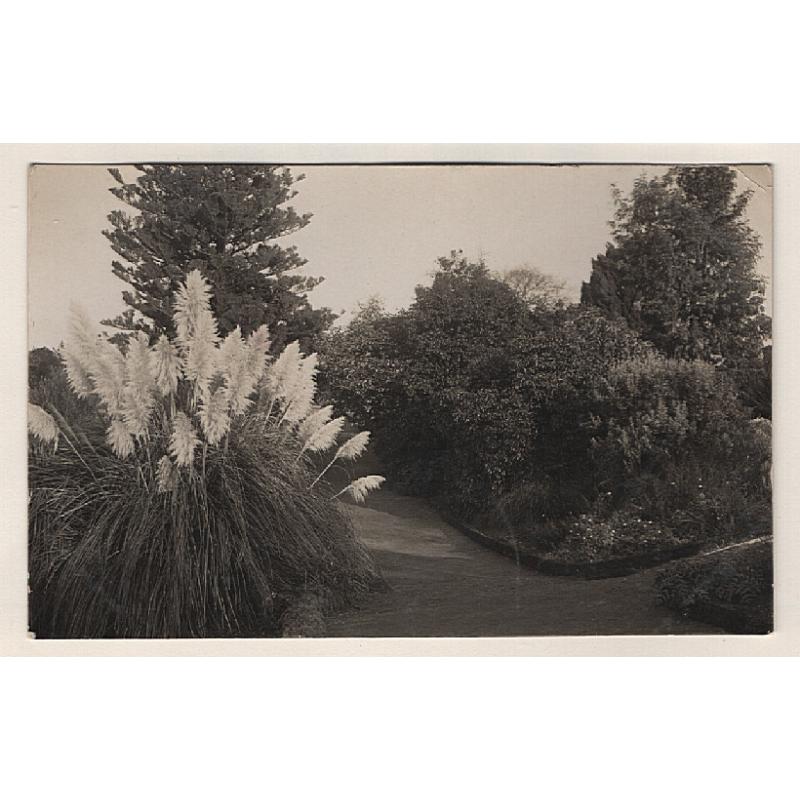 (BB15208) TASMANIA · 1907: real photo card with a a view of a pathway in the BOTANICAL GARDENS, HOBART · message on verso but not postally used · excellent condition