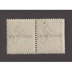 (BB1835) TASMANIA · 1900/44: lightly used pair of £1 green & yellow QV Key Plate optd REVENUE Craig 7.70 · both stamps in fine condition · total Elsmore c.v. AU$70 (2 images)