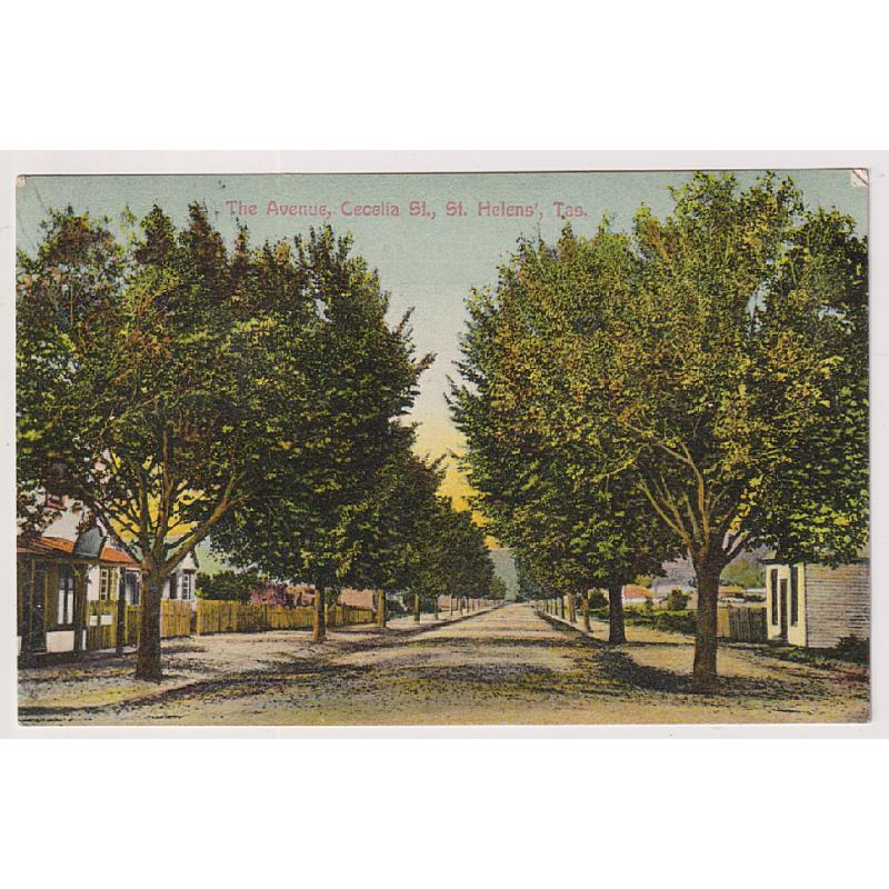 (BB1879) TASMANIA · c.1908: card published by J.C. Macmichael, St Helens (original by Spurling & Son) with local view of THE AVENUE, CECILIA ST. postally used to STEPPES · some minor corner wear o/wise in excellent condition