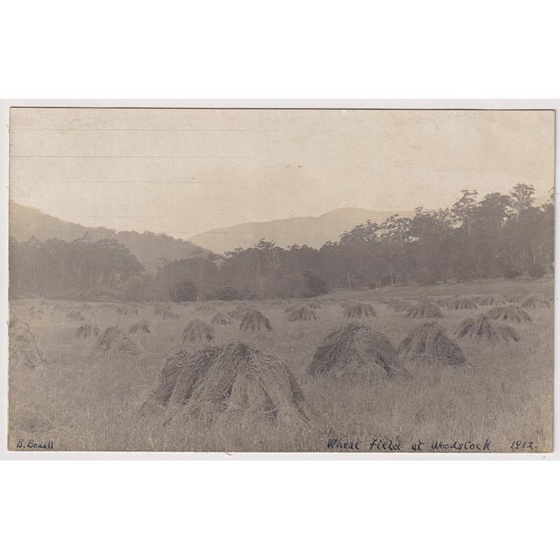 (BB1893) TASMANIA · 1912: real photo card w/view WHEATFILED AT WOODSTOCK · photogtapher B. Boxall · message on verso but not postally used · excellent to fine condition