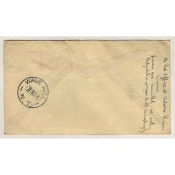 (KB15194) AUSTRALIA · 1934 (Oct 9th): cover carried VICTORIA RIVER DOWNS / WAVE HILL on the return flight to Perth by MacRobertson Miller Aviation AAMC #429a · clear Wave Hill cds · see full description (2 images)