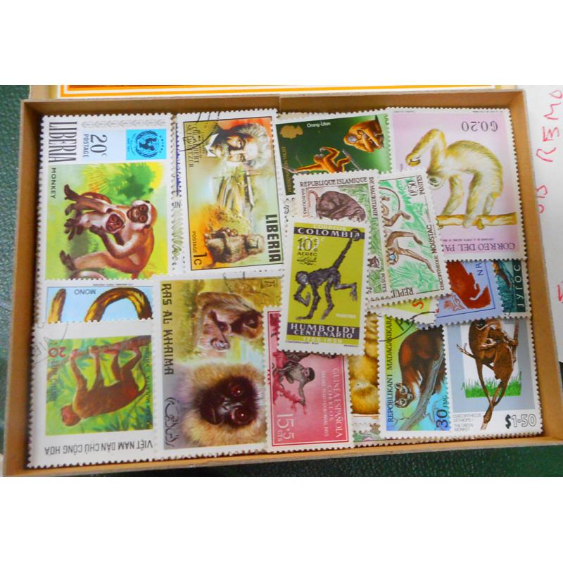 (PL1201B)  WORLDWIDE · wooden cigar box housing an extensive clean accumulation of "ANIMALS" themed stamps ....please view the 4 sample images (many, many, many 100s)