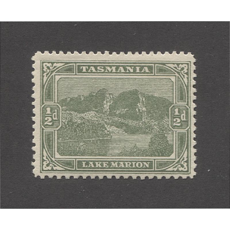 (PY10038) TASMANIA · 1908: mint electrotyped ½d dull grey-green Pictorial (sideways Crown/A wmk) with compound 12½ x 11 (at base) perfs SG 249b · excellent gum · c.v. £130 (2 images)