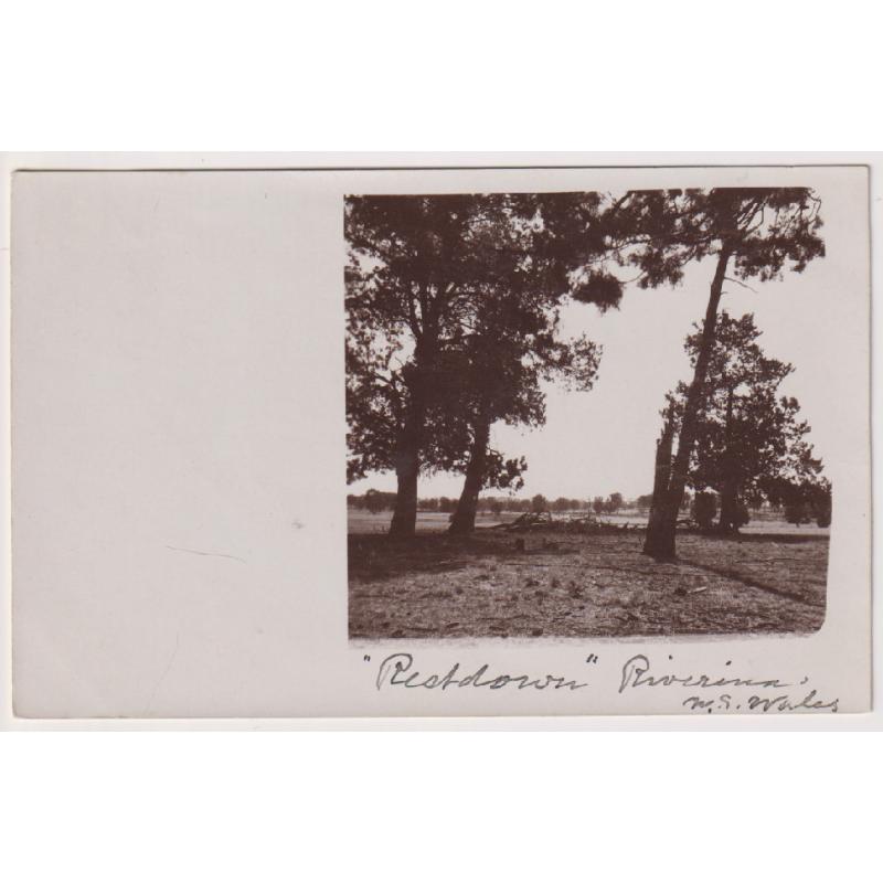(QQ1166) NEW SOUTH WALES · c.1905: unused real photo card with view "RESTDOWN" RIVERINA in excellent to fine condition