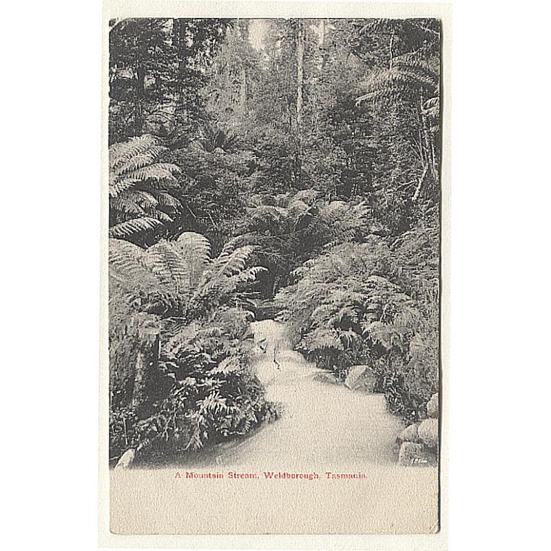 (QQ15015) TASMANIA · 1907: used b&w card by Richard Gee (from Series No.8) w/view A MOUNTAIN STREAM, WELDBOROUGH · one light corner bend o/wise in excellent condition · uncommon