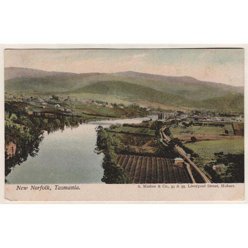 (QQ15031) TASMANIA · c.1908: unused card by A. Mather & Co. w/view of NEW NORFOLK · fine condition