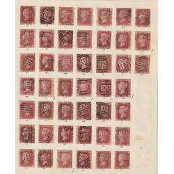 (RP1007) GREAT BRITAIN · 1850s/70s: four pages from an old-time collection housing a useful assembly of QV 1d reds mostly with plate numbers identified · condition is mixed so please view the four largest images