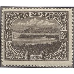 (RS10003) TASMANIA · 1906: mint lithographed 3d brown Pictorial (Crown/A wmk · perf.12.4) with unpositioned variety "diagonal creased transfer" from RVT to edge of stamp above · not listed in ACSC · nice condition (2 images)