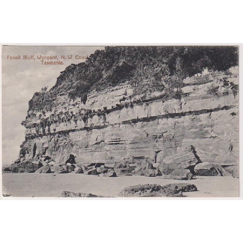 (SS1151 TASMANIA ·  1913: b&w card by Spurling & Son (Nr.317) w/view of FOSSIL BLUFF, WYNYARD · message on verso but not postallu used · excellent to fine condition · uncommon card in my experience