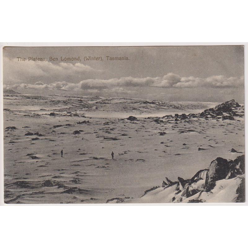 (SS1154) TASMANIA ·  c.1908: card by Spurling & Son (No.258) w/view of THE PLATEAU, BEN LOMOND (WINTER) · greeting on verso but not postally used · excellent to fine condition