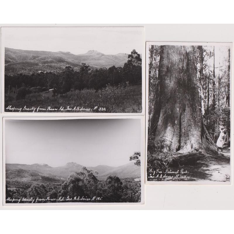 (SS1159) TASMANIA ·  c.1950: 3 unused real photo cards by Ash Bester w/view of THE SLEEPING BEAUTY FROM HUON ROAD and the BIG TREE NATIONAL PARK · VF condition throughout (3)