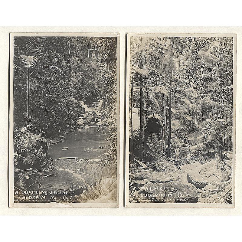 (SS15010) QUEENSLAND · 1930s: four unused real photo cards with views of the BUDERIM area · photographer/publisher not identified · all items in excellent to fine condition (2 images)