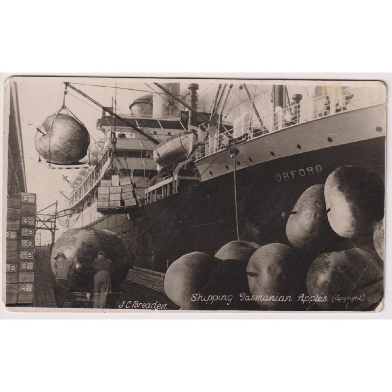 (TY1177) TASMANIA · 1940s: unused real photo card by J.C. BREADEN captioned SHIPPING TASMANIAN APPLES · some wear so please view the largest image · scarce card by comparison with the Ash Bester version
