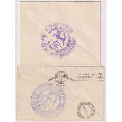 (UU1249) AUSTRALIA · TASMANIA · 1931: neat covers carried on the 1st Air Mail Flight Tasmania/Melbourne and on the return journey with relevant cachets on the backs AAMC 197/198 · both items in nice condition · total c.v. AU$100 (2 images)
