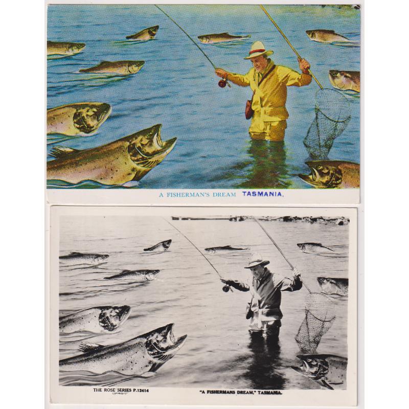 (VV1116) TASMANIA · 1940s/50s: unused cards by Rose titled "A FISHERMAN'S DREAM" TASMANIA · real photo card (P.12414) is the "original"; the printed card (No.262) dates from the 1950s · both cards are in F to VF condition (2)