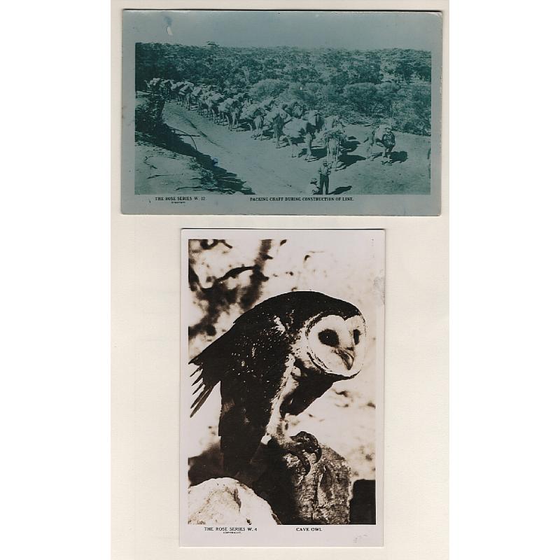 (VV15099) AUSTRALIA · 1920s/30s: unused TRANS-AUSTRALIAN RAILWAY real photo cards by Rose - PACKING CHAFF DURING CONSTRUCTION... (W.12) and CAVE OWL (W.4) · condition as per both largest images