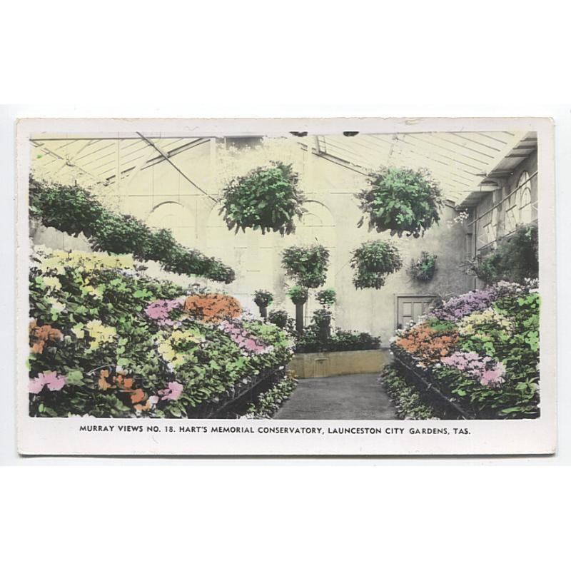 (WW1035) TASMANIA · c.1950: unused colour tinted real photo card by Murray Views w/view of the interior of HART'S MEMORIAL CONSERVATORY, LAUNCESTON in VF condition