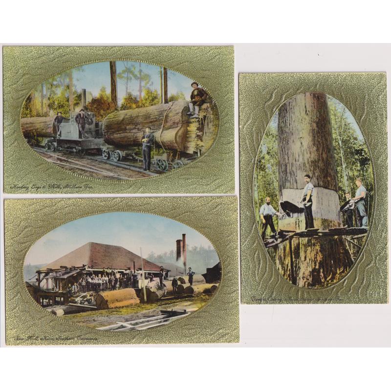 (WW1204) TASMANIA · c.1910: 3 unused colour cards with textured frames featuring SOUTHERN FORESTS views all in fine condition · publisher of these attractive cards is not identified (3)