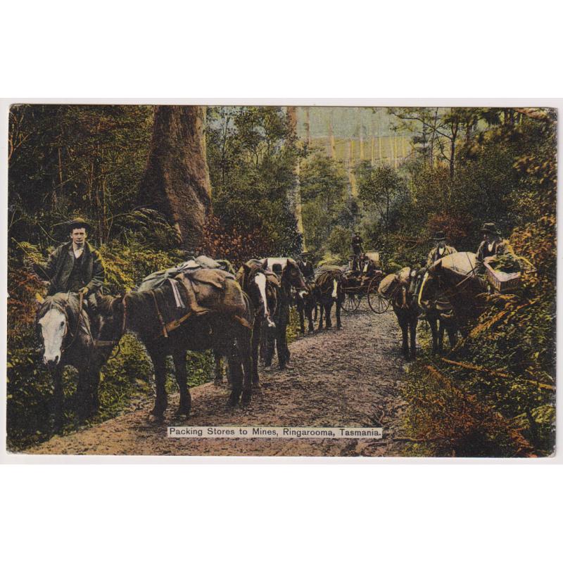 (WW1208) TASMANIA · 1907: colour card by Spurling & Son (No.214) w/view PACKING STORES TO MINES, RINGAROOMA · this photo also used for one of the official Franco-Exhibition cards · nice condition