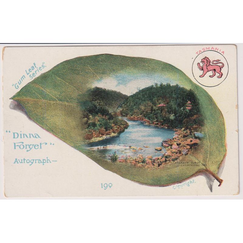 (WW1210) TASMANIA · c.1907: unused "DINNA FORGET" card from Gum Leaf series by F & J w/view of Cataract Gorge · some minor peripheral wear o/wise in excellent condition