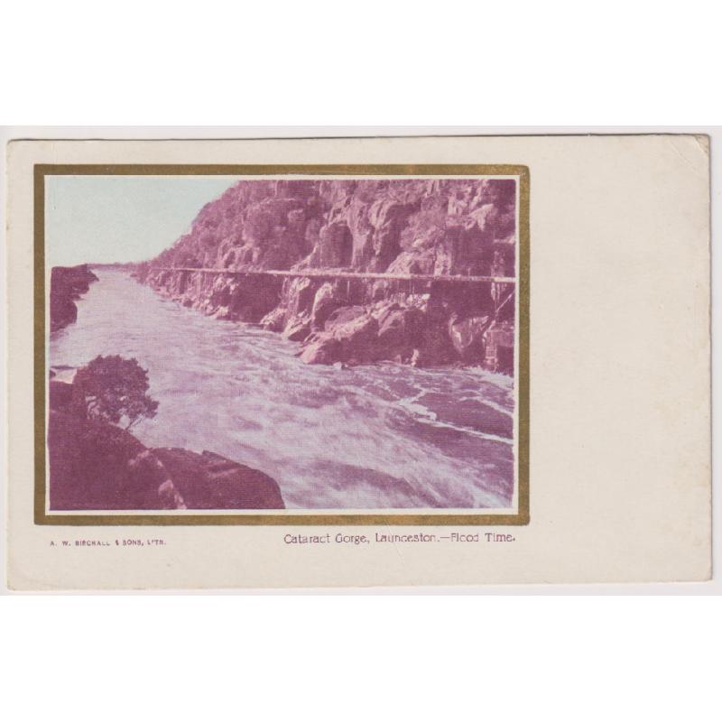 (WW1433) TASMANIA · c.1904: unused undivided back card by by A.W. Birchall w/view of CATARACT GORGE LAUNCESTON printed by Osboldstone · excellent to fine condition