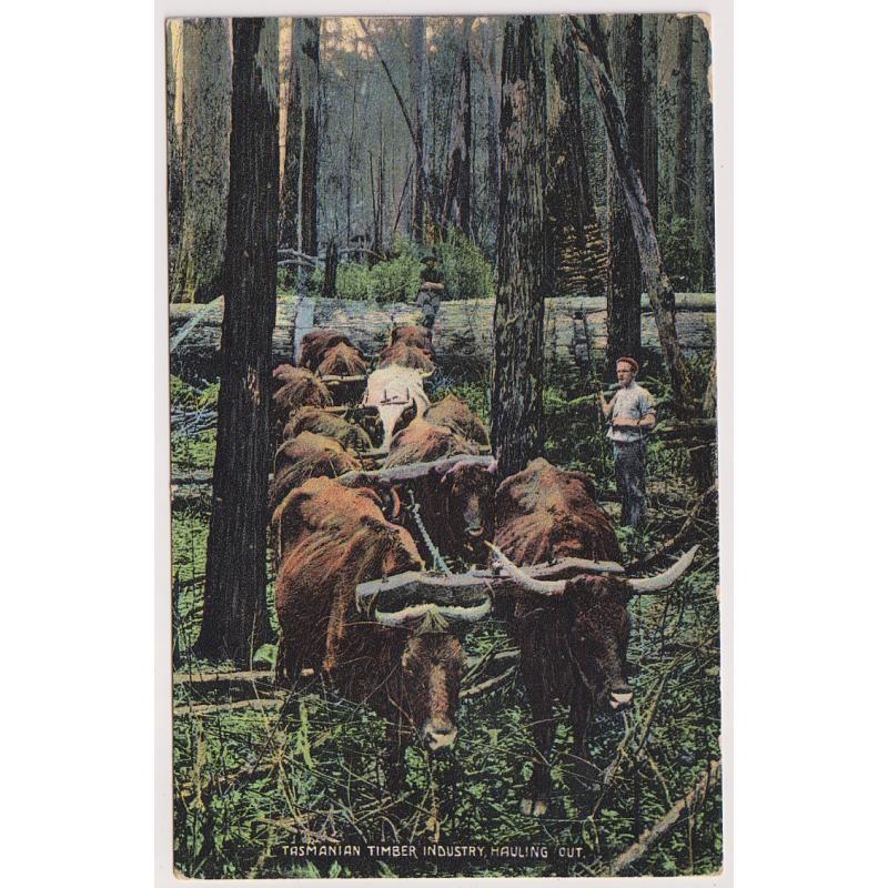 (WW1583) TASMANIA · 1908: Birchall's colour card w/view TASMANIAN TIMBER INDUSTRY   HAULING OUT · mailed from SPRENT with a clear strike of the Type 1 cds · excellent condition · scarce card