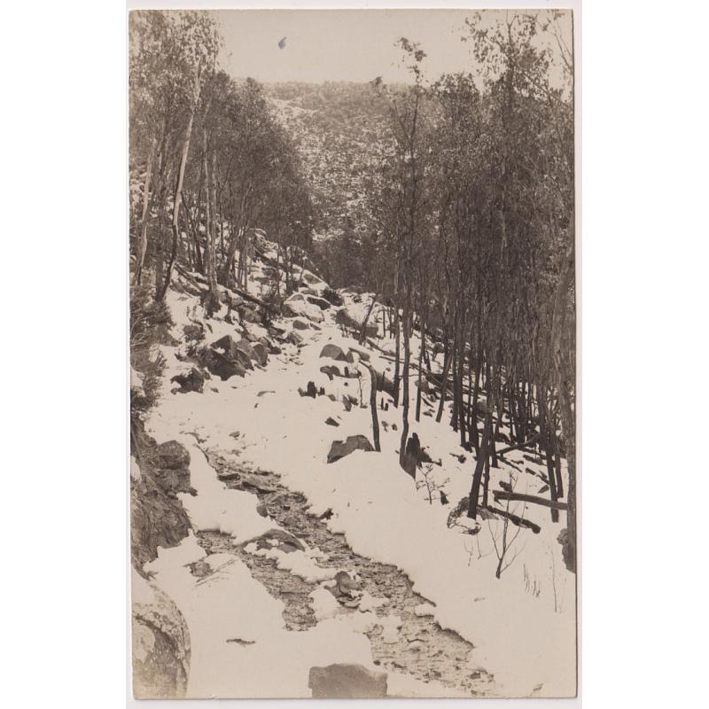 (WW1584) TASMANIA · 1920s: unused real photo card by an unidentified publisher with a 'snow view' on MT WELLINGTON · photo possibly taken near The Springs looking towards The Zig Zag · fine condition