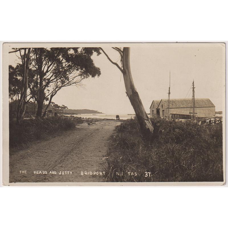 (WW1589) TASMANIA · 1914: real photo card by T.R.G. Williams (Ararat) w/view THE HEADS AND JETTY BRIDPORT numbered '37' · postally used with 1d Roo franking · fine condition