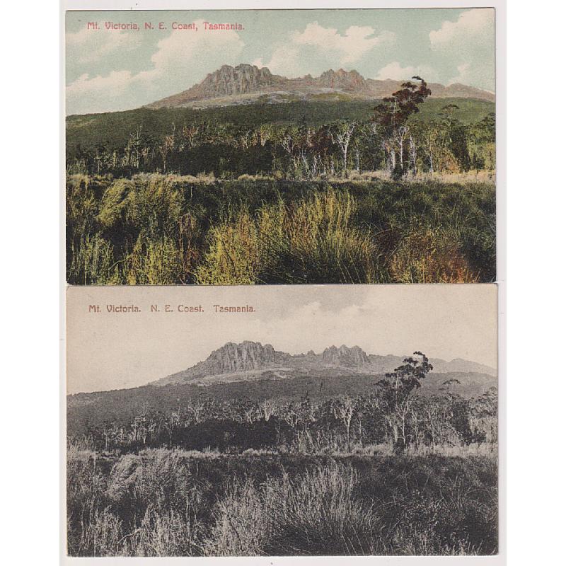 (WW1607) TASMANIA · c.1910: cards by Spurling & Son with the same view of MT VICTORIA, N.E. COAST ... b&w card is numbered '330'; the colour card '209' · both items are in excellent to fine condition (2)