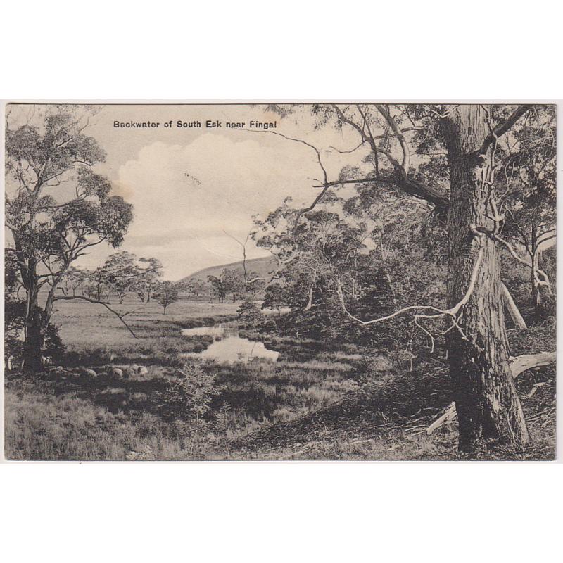 (WW1608) TASMANIA · 1926: b&w card w/view BACKWATER OF SOUTH ESK NEAR FINGAL in excellent condition · long message on verso but not postally used · the card itself was probably printed at least 10 years earlier